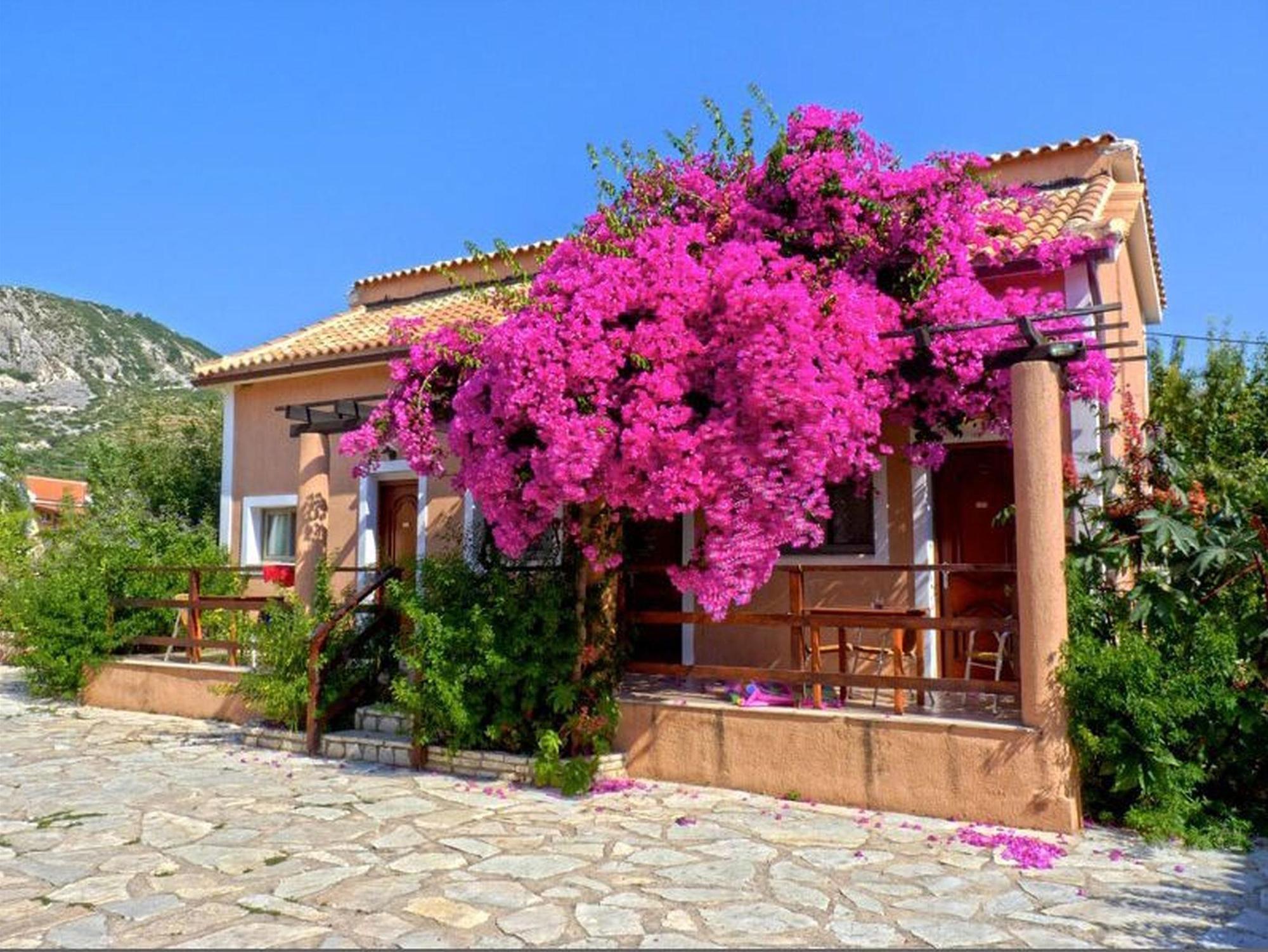 Efrosini Village Kateleios Dış mekan fotoğraf